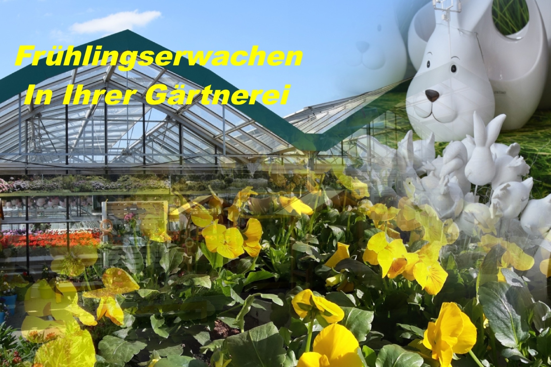 Foto Frühlingszauber bei der Gärtnerei Nothnagel!